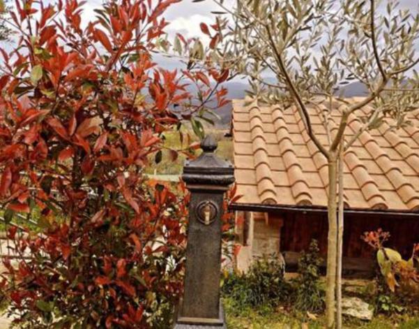 Il Podere Di Massi バルベリーノ・ディ・ムジェッロ エクステリア 写真
