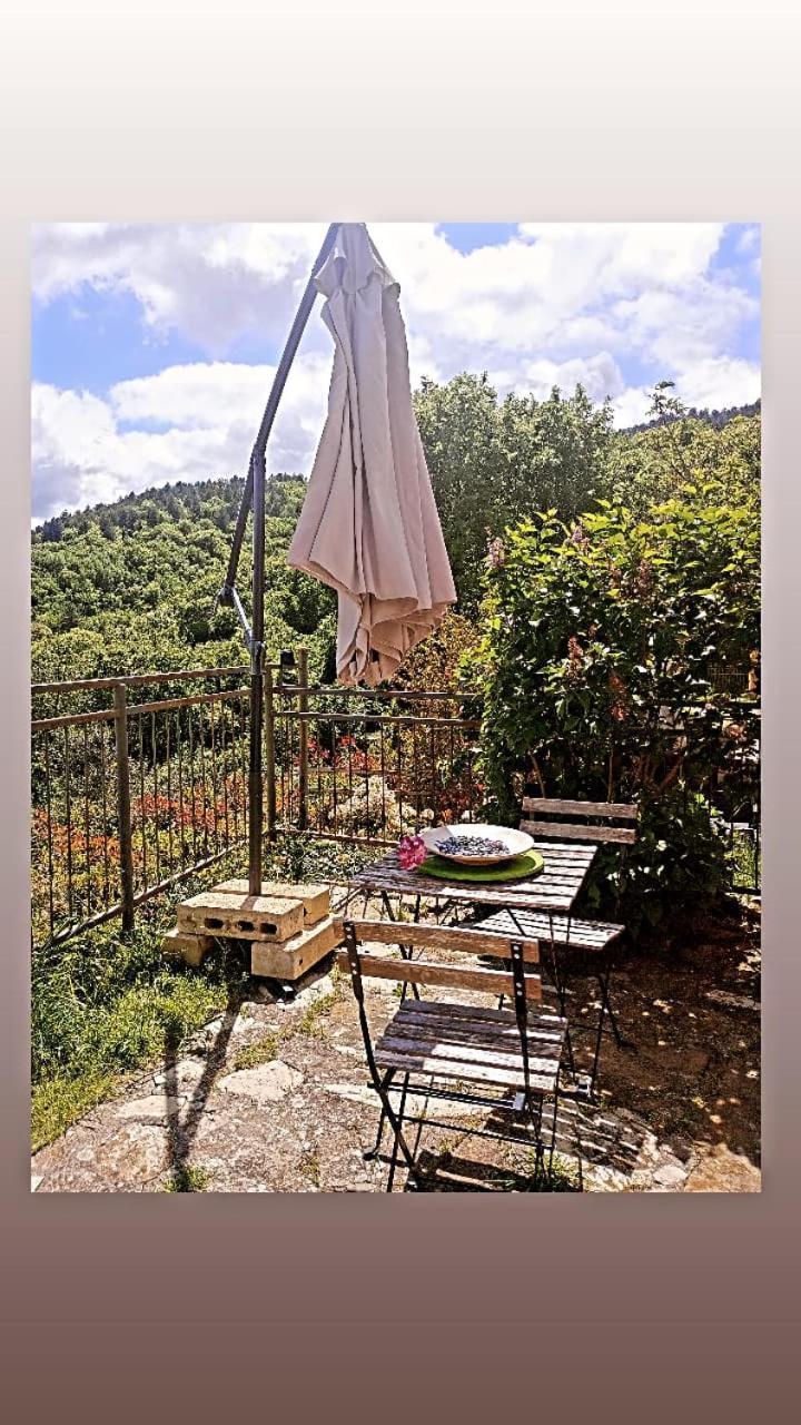 Il Podere Di Massi バルベリーノ・ディ・ムジェッロ エクステリア 写真